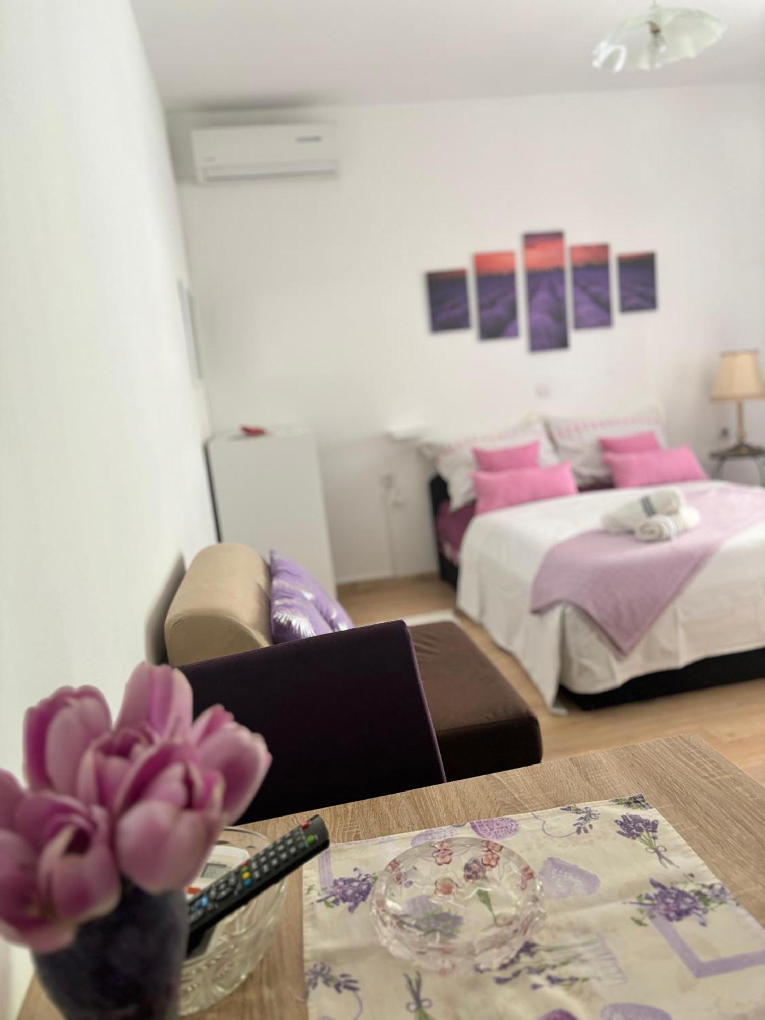 Apartments Ivana Bibinje Bagian luar foto