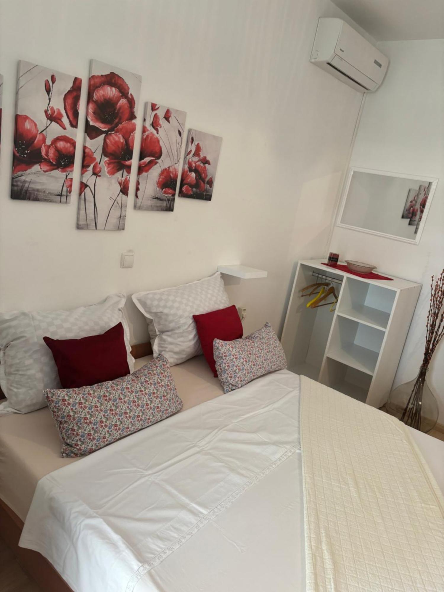 Apartments Ivana Bibinje Bagian luar foto