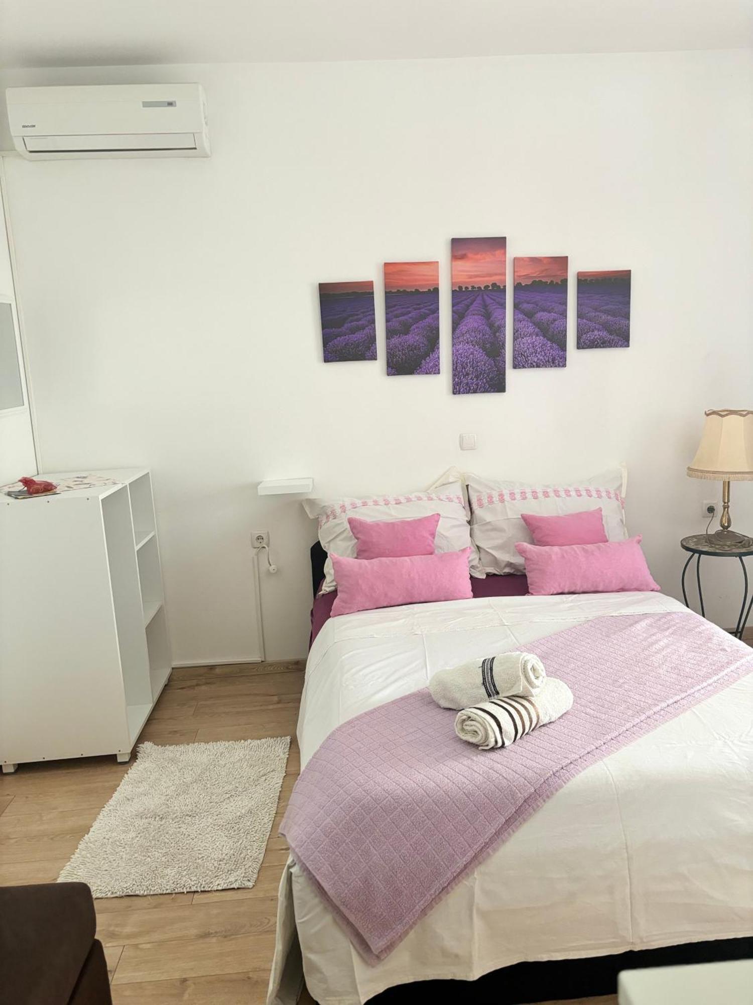 Apartments Ivana Bibinje Bagian luar foto