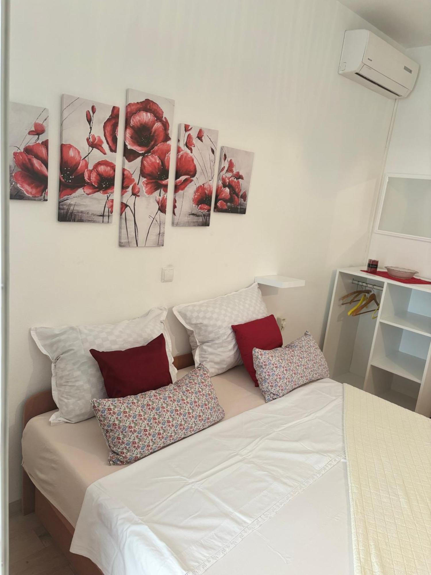 Apartments Ivana Bibinje Bagian luar foto