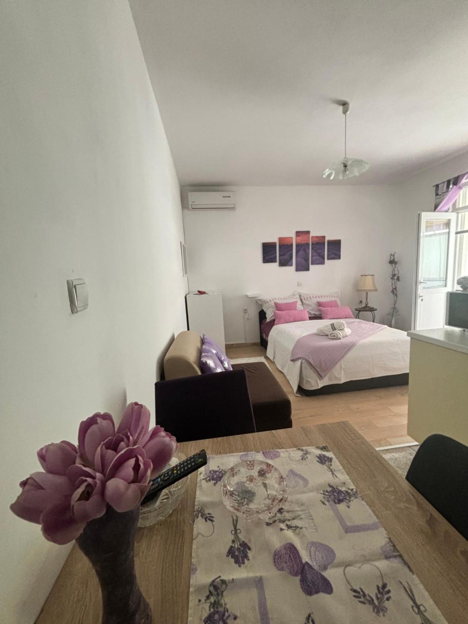Apartments Ivana Bibinje Bagian luar foto