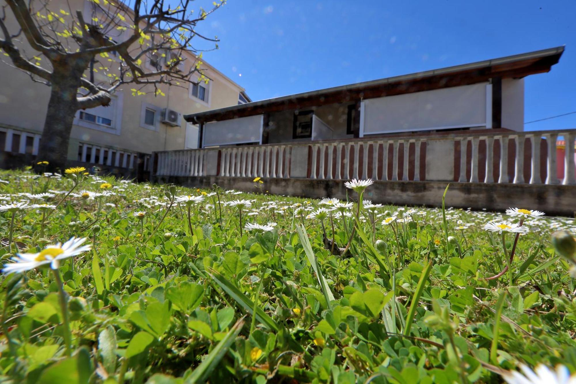Apartments Ivana Bibinje Bagian luar foto