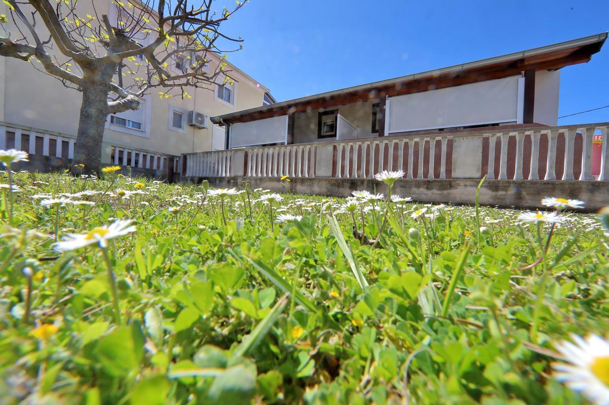 Apartments Ivana Bibinje Bagian luar foto